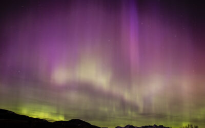 Northern Lights in the Wyoming Skies
